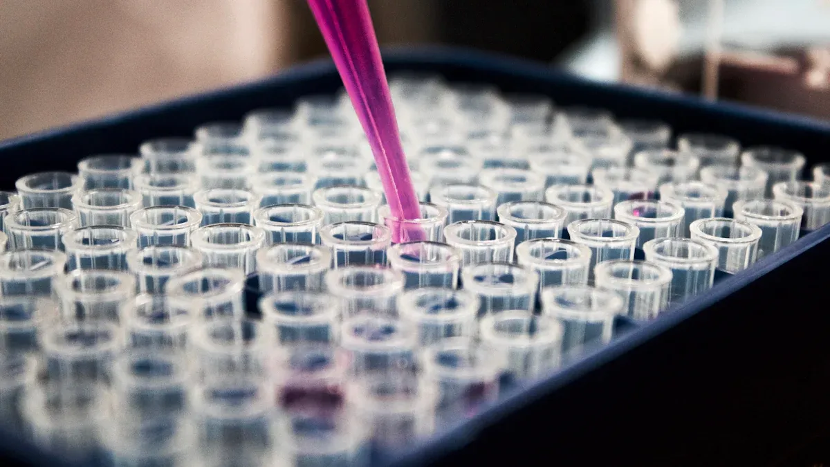 The Future of AI and DNA in Personalized Nutrition