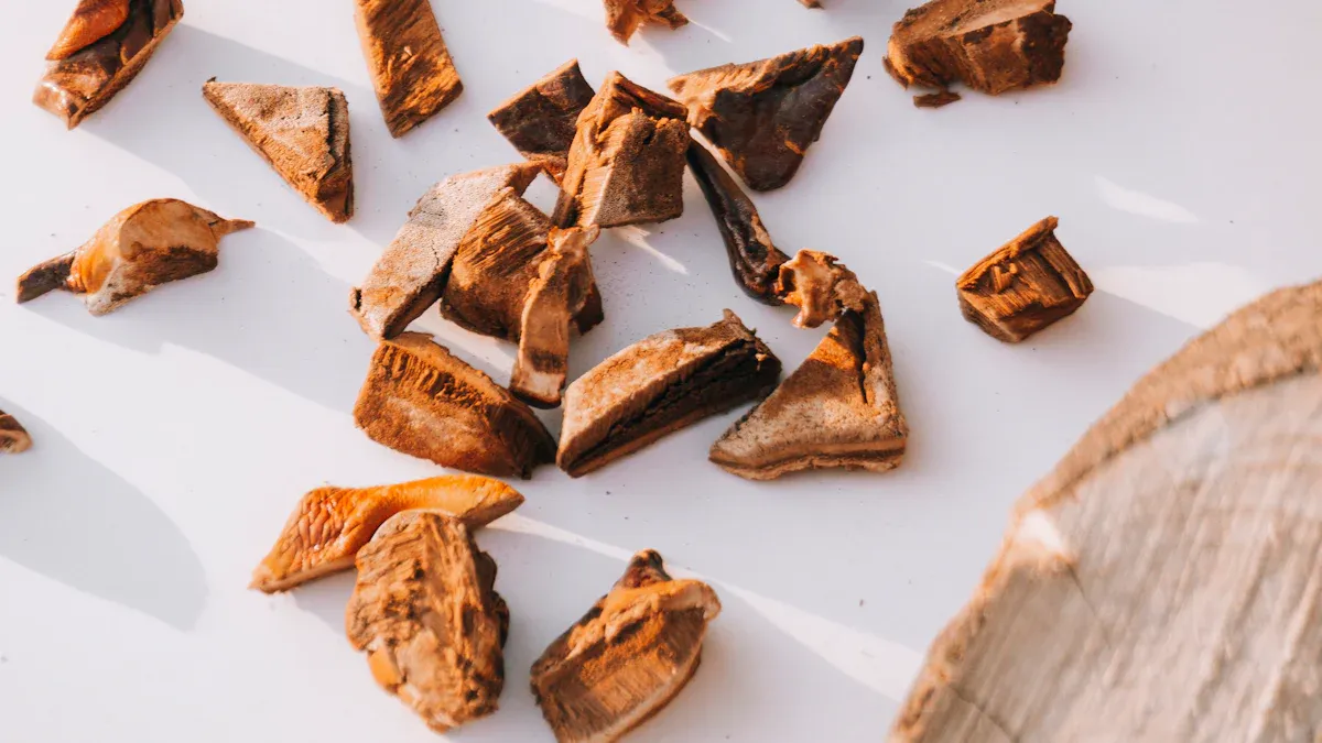 Mushroom Supplements: Lion’s Mane, Reishi, and Cordyceps Explained